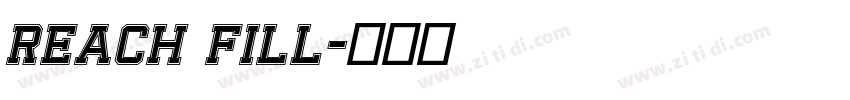 Reach Fill字体转换